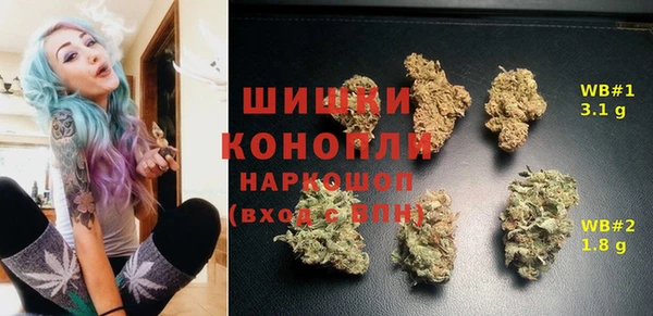 первитин Няндома