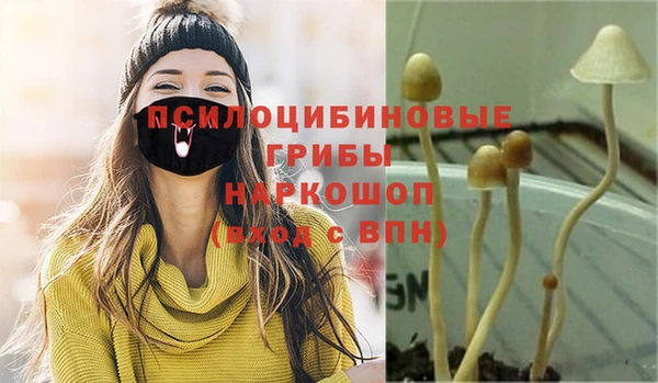 дмт Нязепетровск