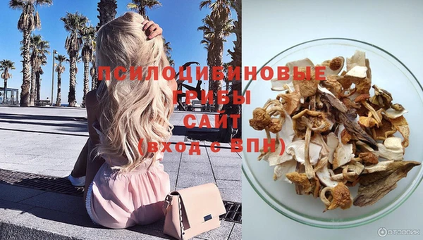 mdpv Нягань