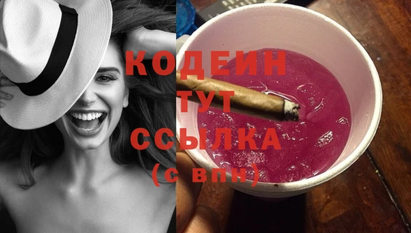 первитин Няндома