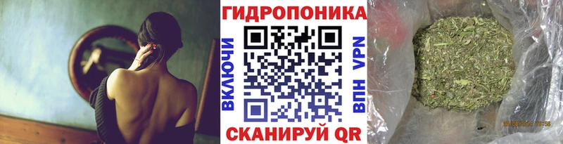 Конопля SATIVA & INDICA  Яблоновский 